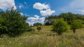 Lipowo - zdjęcie 14