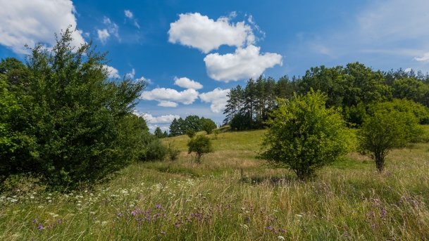 Lipowo - zdjęcie 14