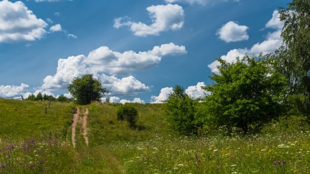 Lipowo - zdjęcie 11