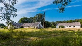 Jasieniec - zdjęcie 23