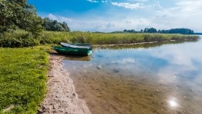 Jasieniec - zdjęcie 22