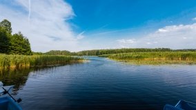 Jasieniec - zdjęcie 21