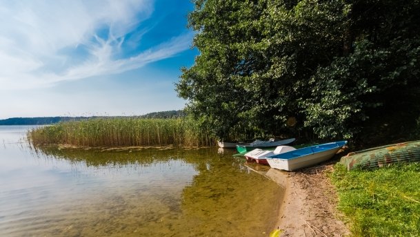 Gołdopiwo - zdjęcie 30