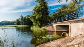 Jasieniec - zdjęcie 16