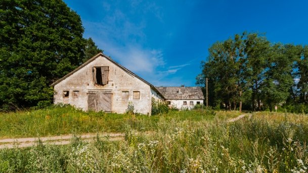 Jasieniec - zdjęcie 14