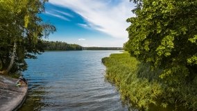 Jasieniec - zdjęcie 13