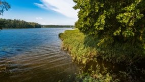 Jasieniec - zdjęcie 12