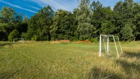 Jasieniec - zdjęcie 10