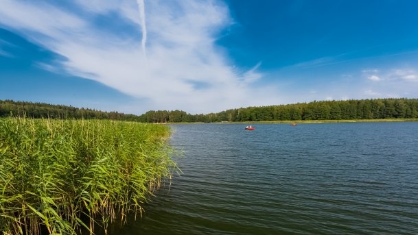 Gołdopiwo - zdjęcie 24