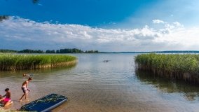 Jasieniec - zdjęcie 7