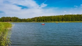 Jasieniec - zdjęcie 6