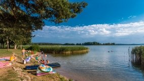 Jasieniec - zdjęcie 4