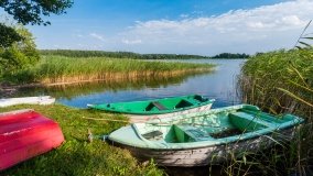 Jasieniec - zdjęcie 3