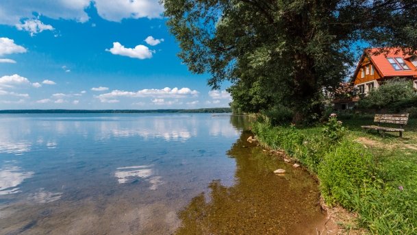 Gołdopiwo - zdjęcie 15