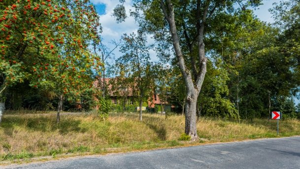 Jeziorowskie - zdjęcie 41