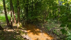 Jeziorowskie - zdjęcie 44