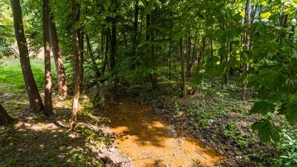 Jeziorowskie - zdjęcie 37