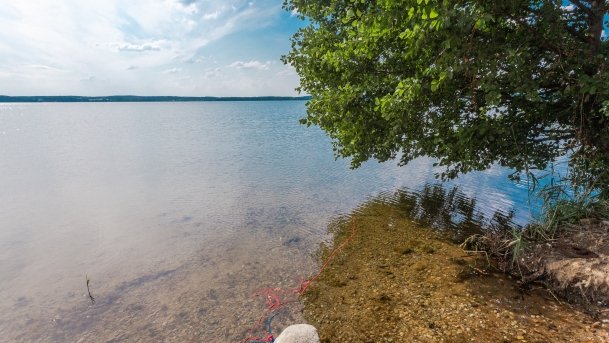 Gołdopiwo - zdjęcie 10