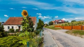 Jeziorowskie - zdjęcie 40