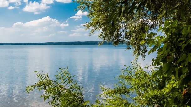 Gołdopiwo - zdjęcie 8