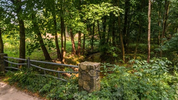 Jeziorowskie - zdjęcie 22