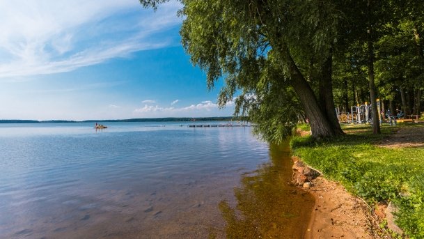 Gołdopiwo - zdjęcie 6