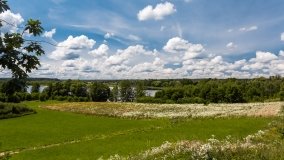 Inulec - zdjęcie 20