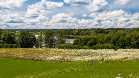 Inulec - zdjęcie 18