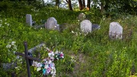 Zełwągi - zdjęcie 43