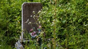 Zełwągi - zdjęcie 40