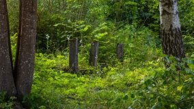 Zełwągi - zdjęcie 39