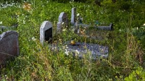 Zełwągi - zdjęcie 27