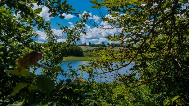 Juksty - zdjęcie 13