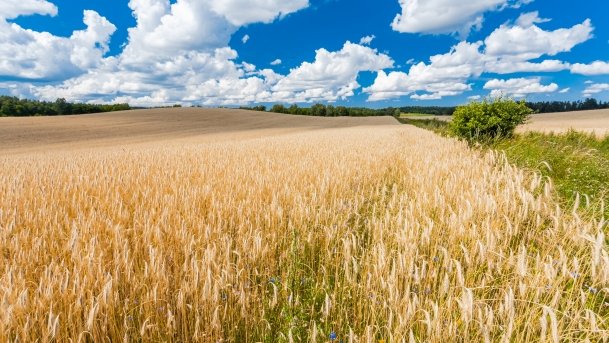 Śniadowo - zdjęcie 13