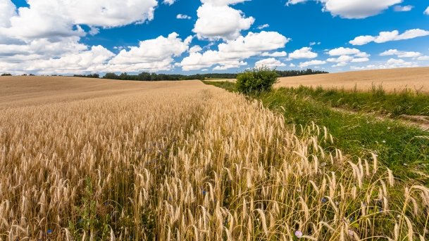 Śniadowo - zdjęcie 11