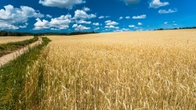 Śniadowo - zdjęcie 10