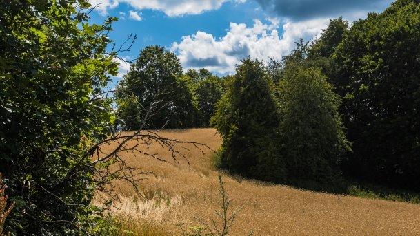 Śniadowo - zdjęcie 2