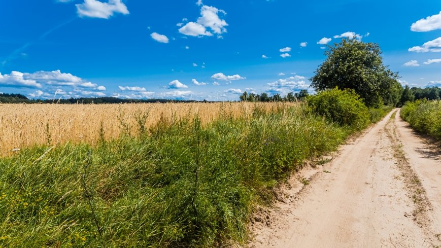 Śniadowo - zdjęcie 1