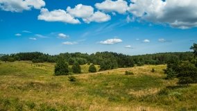 Probark - zdjęcie 13