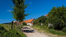 Bielskie - zdjęcie 10