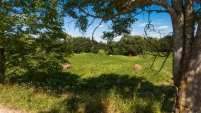 Bielskie - zdjęcie 2