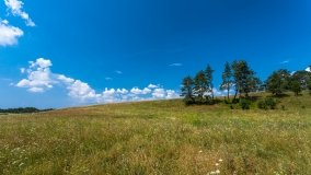 Kamieńskie - zdjęcie 33