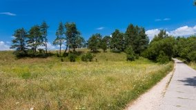 Kamieńskie - zdjęcie 32