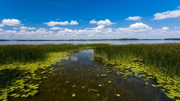 Kamieńskie - zdjęcie 14