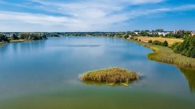 jezioro Domowe Duże - zdjęcie 41