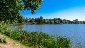 jezioro Domowe Małe - zdjęcie 13