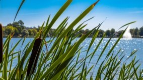 jezioro Domowe Małe - zdjęcie 11