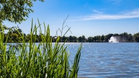 jezioro Domowe Małe - zdjęcie 10