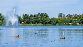 jezioro Domowe Małe - zdjęcie 4