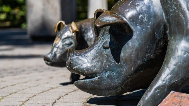 Szczytno - zdjęcie 83